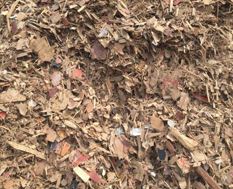 wood waste