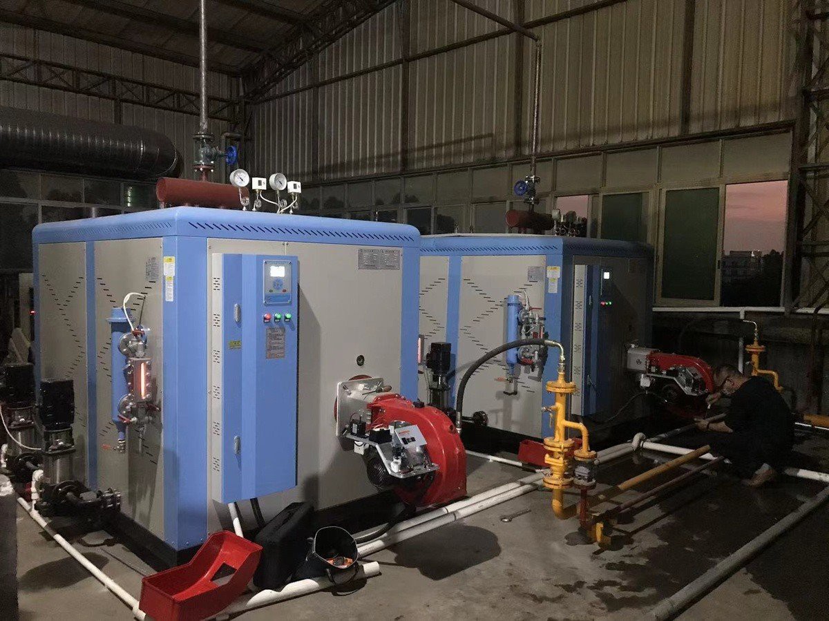 Natural Gas Steam Generator (2)