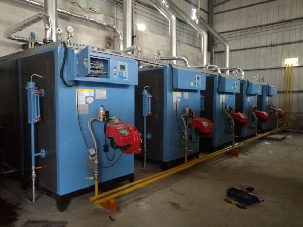 Natural Gas Steam Generator-3