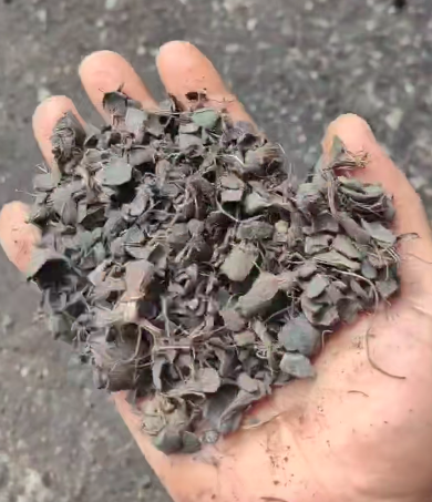 WX20260410-150923 WX20260410-150923