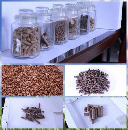 Why Are Biomass Fuels Increasingly Popular?