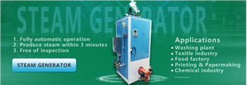 GAS STEAM GENERATOR