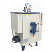 Electric Steam Generator